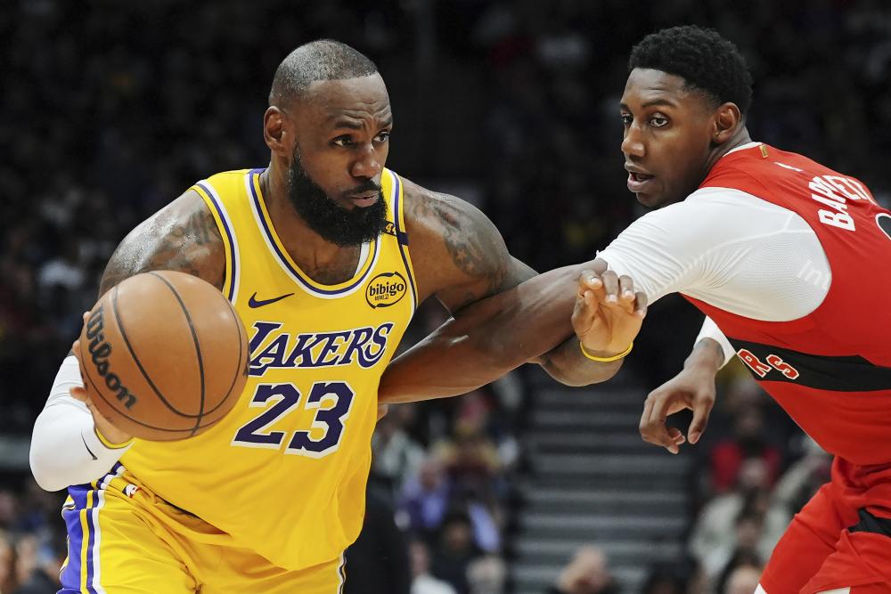 公园小道 公园小道